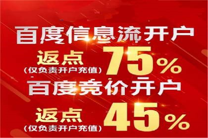 竞价SEM案例分享：快速提高网站流量技巧